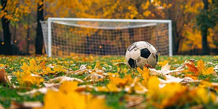 Sunwin cá cược bóng đá – Trải nghiệm thể thao trực tuyến chuyên nghiệp